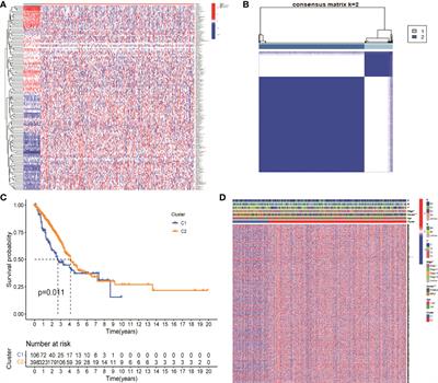 Nitrogen Metabolism Disorder Accelerates Occurrence and Development of Lung Adenocarcinoma: A Bioinformatic Analysis and In Vitro Experiments